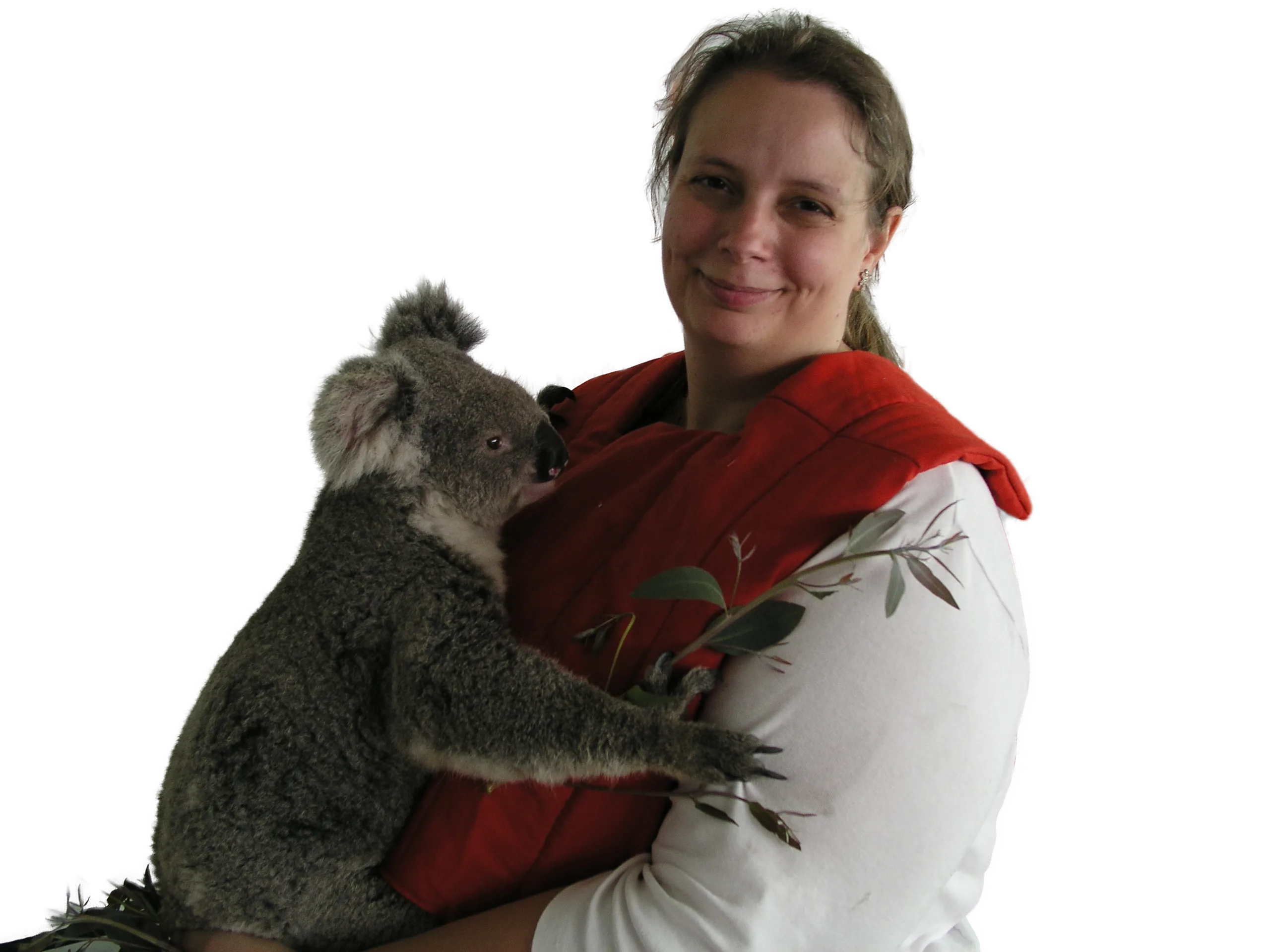 Charlotte holding a koala, from her first visit to Australia